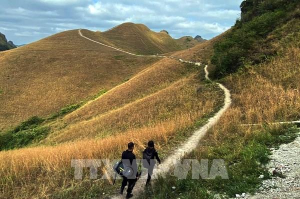Đồi cỏ đẹp như phim cổ tích ở Hạ Lang, Cao Bằng