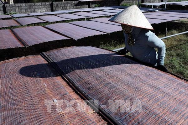 Làng miến truyền thống Bình Lư hối hả vào vụ Tết Nguyên đán 2025