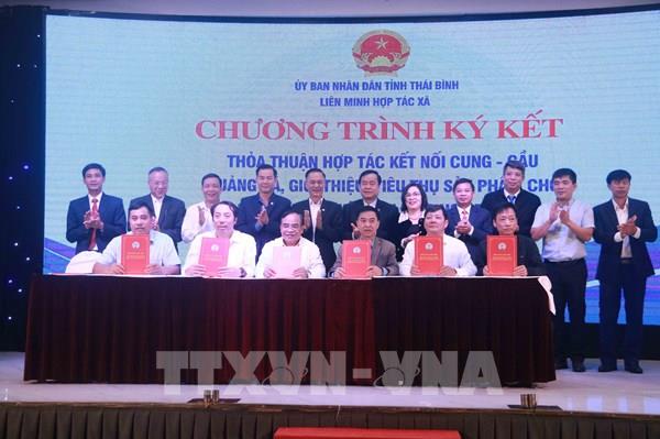 Ký kết thỏa thuận phối hợp kết nối cung cầu, quảng bá tiêu thụ sản phẩm tiêu biểu
