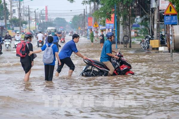 Xâm nhập mặn mùa khô năm 2025 sẽ cao nhưng không gay gắt