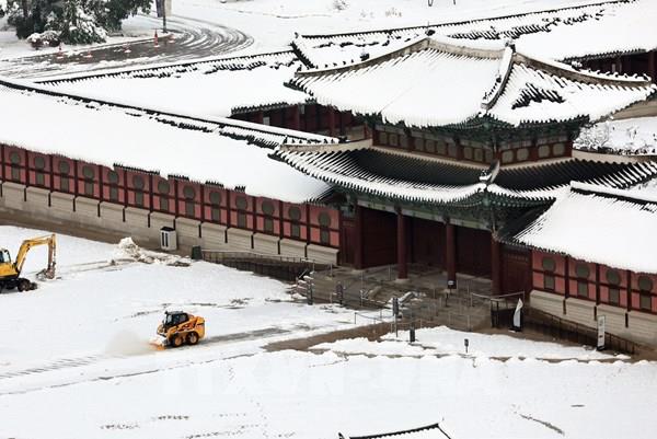 Hàn Quốc xem xét công bố vùng thảm họa với các khu vực thiệt hại nặng vì tuyết