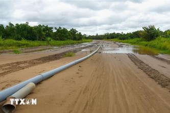 Tiền Giang phấn đấu giải ngân đạt 100% vốn đầu tư công trong năm
