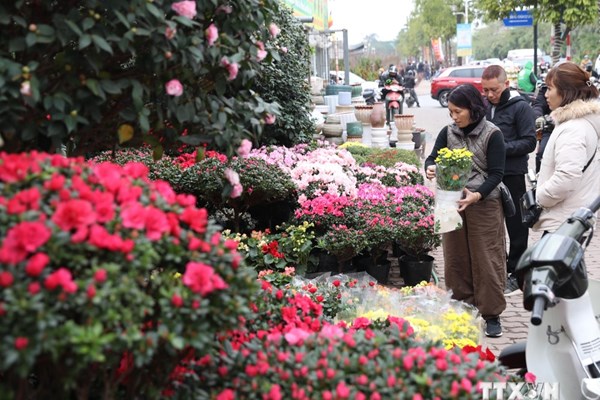 Chỉ thị của Ban Bí thư về việc tổ chức Tết Ất Tỵ năm 2025