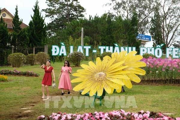 Đà Lạt kỳ vọng đón 2 triệu lượt khách tham dự Festival hoa