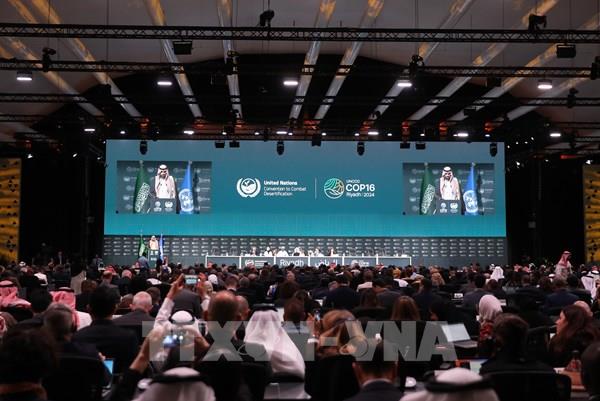 Hội nghị COP16: Cam kết tài chính hơn 12 tỷ USD cho chống sa mạc hóa
