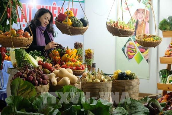 Trên 100 gian hàng quảng bá đặc sản nông nghiệp Đà Lạt trong Festival hoa
