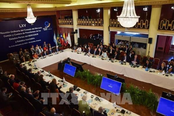 Những nút thắt cuối cùng đe dọa FTA Mercosur - EU