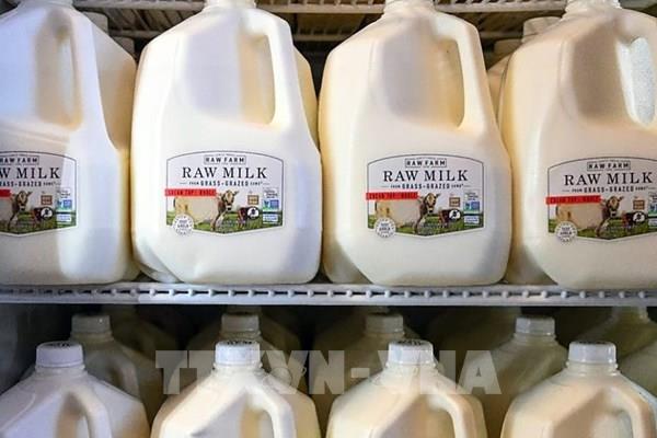 Bộ Nông nghiệp Mỹ yêu cầu kiểm tra nguồn cung sữa quốc gia