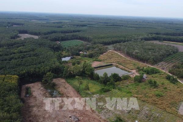 Làm rõ hơn 53ha đất ở Đồng Phú (Bình Phước) “biến mất” trên bản đồ địa chính