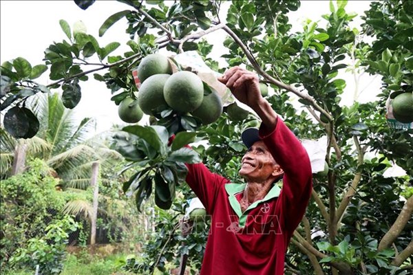 Tiền Giang: Hiệu quả nhờ đẩy mạnh xuất khẩu các mặt hàng chủ lực