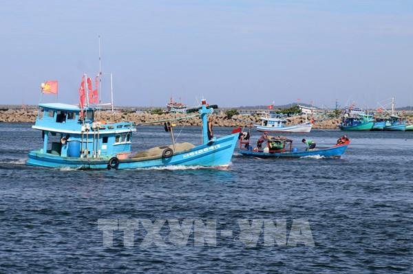 Rà soát tàu cá có nguy cơ vi phạm "thẻ vàng" IUU