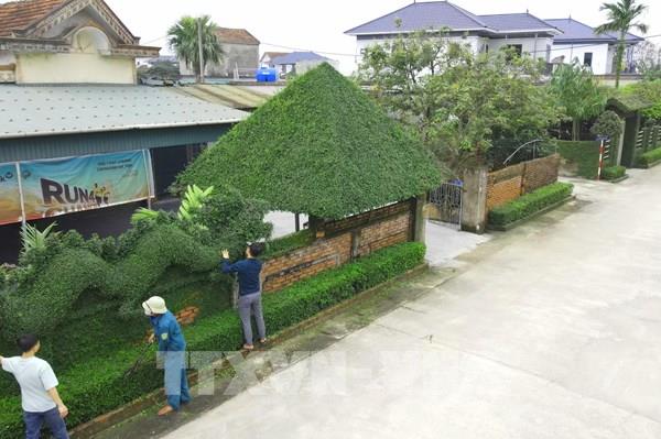 Độc đáo những hàng rào xanh ở làng quê Hà Tĩnh
