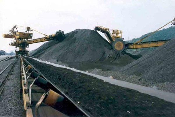 Indonesia thu hàng tỷ USD từ than bùn và phục hồi rừng ngập mặn