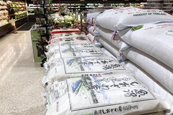 Sản lượng lúa gạo toàn cầu được dự báo lập kỷ lục mới