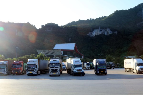 Nông nghiệp là lĩnh vực hợp tác quan trọng giữa Quảng Tây (Trung Quốc) và Việt Nam