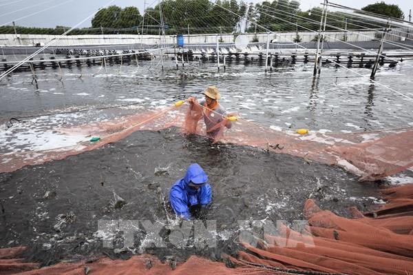 Nâng cao chuỗi giá trị hàng hóa nông sản nhờ đầu tư mạnh cho khoa học công nghệ