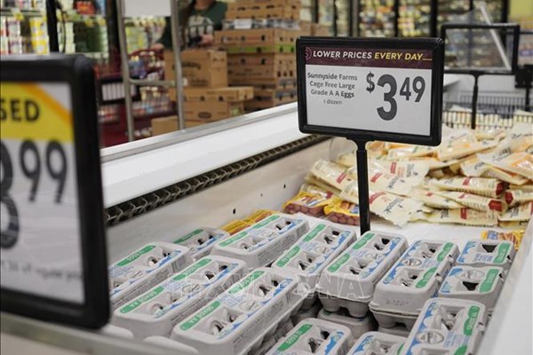 Tổng thống đắc cử Mỹ thừa nhận khó giảm giá thực phẩm