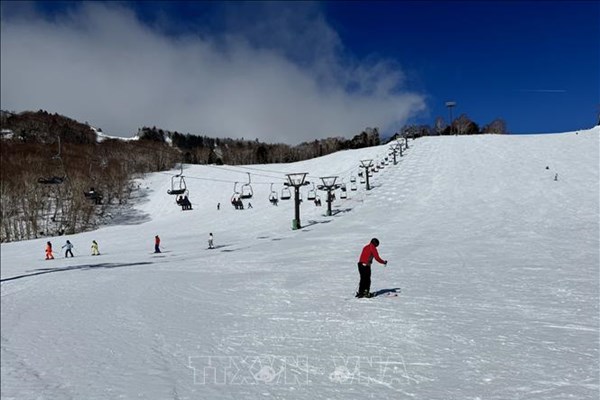 Các khu nghỉ dưỡng trượt tuyết Nhật Bản ngày càng gặp khó