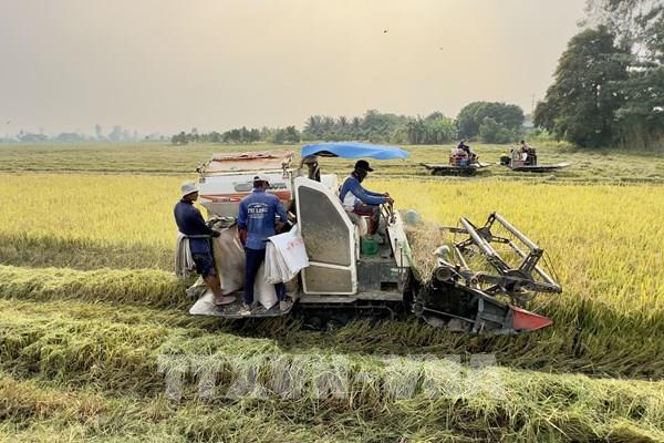 Gần 100% diện tích lúa đưa cơ giới hóa vào sản xuất