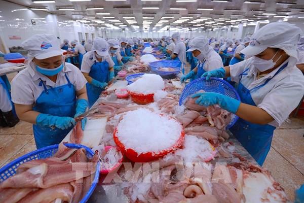 Xuất khẩu nông sản lập nhiều kỷ lục mới