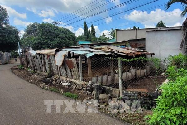 Di dời, chấm dứt hoạt động các cơ sở chăn nuôi gây ô nhiễm môi trường