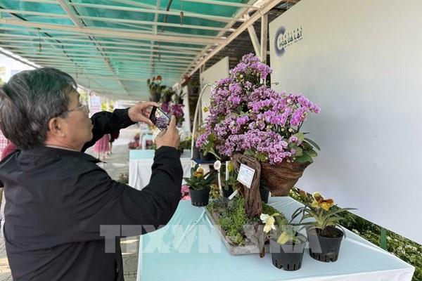 20.000 lượt khách chiêm ngưỡng vườn hoa Đà Lạt dịp Festival