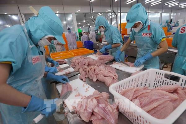 Cần Thơ thúc đẩy doanh nghiệp chuyển đổi số, sản xuất xanh