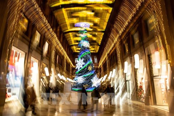  Không khí đón Giáng sinh 2024 trên khắp thế giới