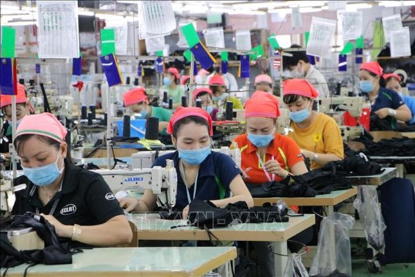 Tín dụng TP.HCM phục hồi: Vốn chảy mạnh vào sản xuất – kinh doanh