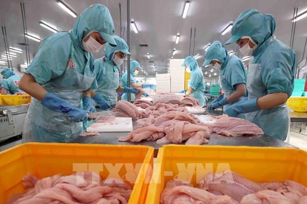 Xuất khẩu thuỷ sản về đích 10 tỷ USD