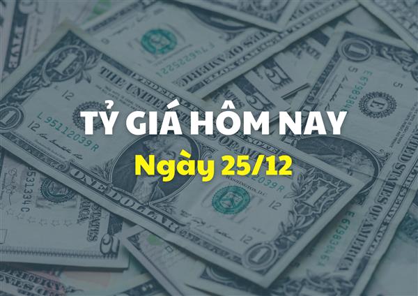 Tỷ giá hôm nay 25/12: Đồng USD tăng giá trở lại