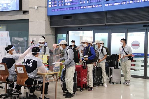 Hàn Quốc cắt giảm hạn ngạch thị thực lao động nhập cư