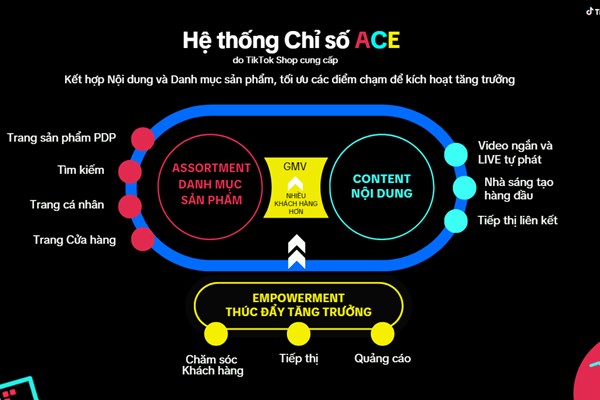 Bí quyết bứt phá từ hệ thống chỉ số ACE của TikTok Shop: Từ “ông lớn” đến “tân binh”