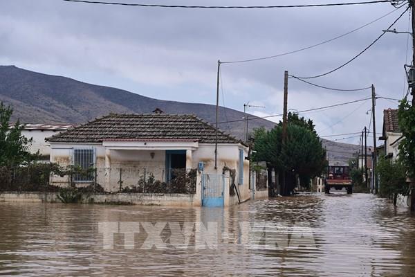 Thiệt hại kinh tế khổng lồ từ biến đổi khí hậu