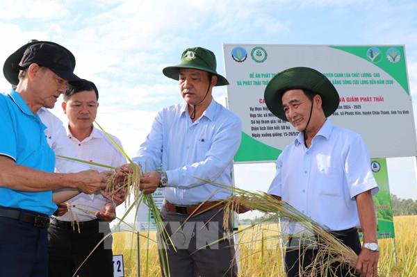 Trồng lúa chất lượng cao giảm phát thải lợi nhuận tăng thêm 9 triệu đồng/ha