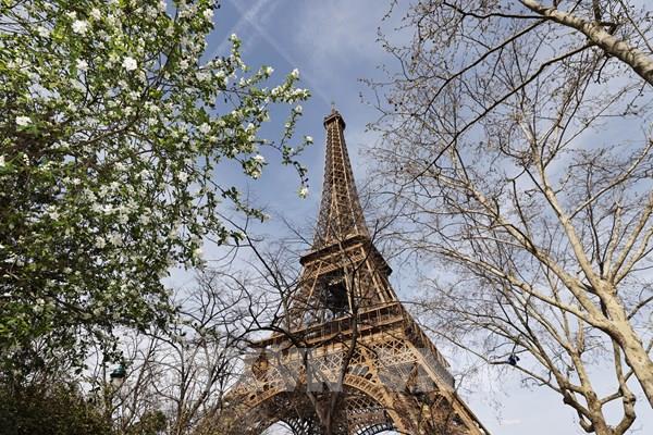 Cháy tại tháp Eiffel, sơ tán nhiều du khách