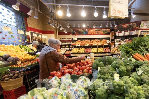 LHQ dự báo tăng trưởng kinh tế toàn cầu giảm còn 2,6% năm 2025