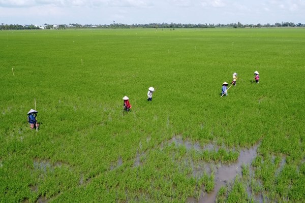 Hội nghị P4G Việt Nam 2025: Tăng trưởng xanh - xu hướng toàn cầu không thể đảo ngược