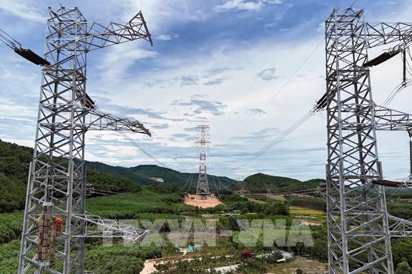 Cơ sở lạc quan về lĩnh vực năng lượng tái tạo của Việt Nam