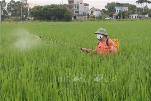 Ban hành Danh mục thuốc bảo vệ thực vật được phép sử dụng tại Việt Nam