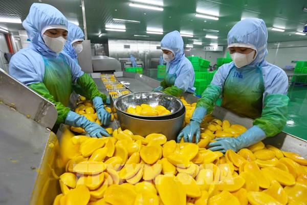 Doanh nghiệp tận dụng FTA để gia tăng xuất khẩu