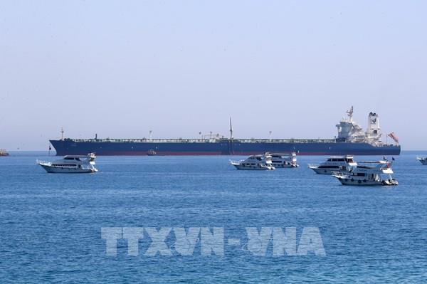 Nhiều hãng vận tải biển nối lại hành trình qua kênh đào Suez