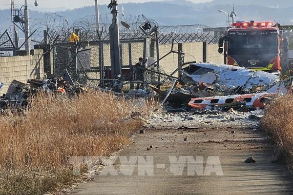 Tai nạn máy bay tại Hàn Quốc: Số người thiệt mạng tăng mạnh