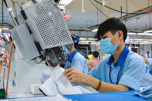 Hủy niêm yết bắt buộc cổ phiếu GMC trên HoSE