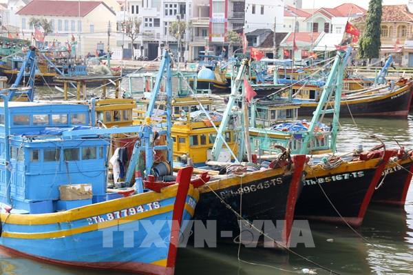 Tăng kiểm tra tàu cá, đảm bảo đủ điều kiện trước khi ra khơi