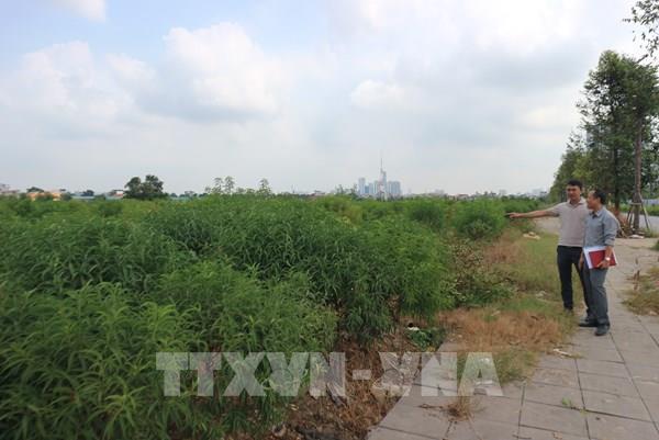 Chống lãng phí đất đai - Bài 1: Bờ xôi ruộng mật bị bỏ hoang