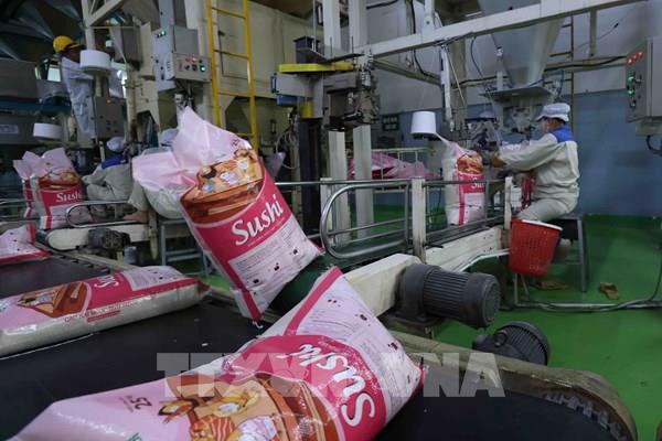 Quy định mới về kinh doanh xuất khẩu gạo