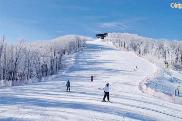 Du lịch băng tuyết thúc đẩy tăng trưởng kinh tế Trung Quốc