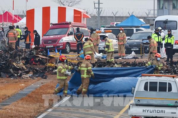 Jeju Air bác các thông tin không chính xác về nguyên nhân gây tai nạn