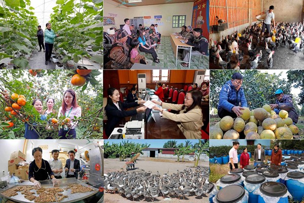 Quy mô tín dụng chính sách tăng trưởng ấn tượng